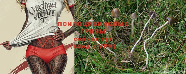 трава Новокубанск