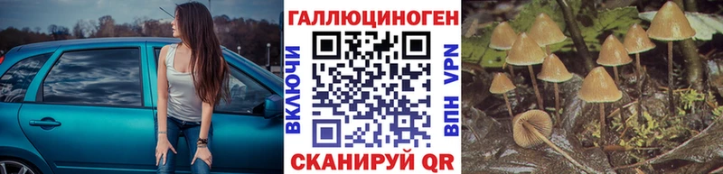 Галлюциногенные грибы Psilocybine cubensis  Купить  Нижневартовск 